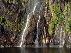 small_08_Milford_Sound_16