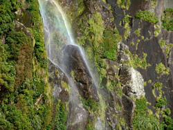 small_09_Milford_Sound_16