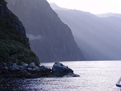 small_11_Milford_Sound_23